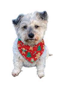 Frontpage: Luxe Bamboo Sweet Treats Christmas Dog Bandana
