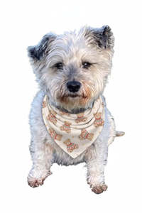 Frontpage: Luxe Bamboo Cosy Cub Christmas Dog Bandana