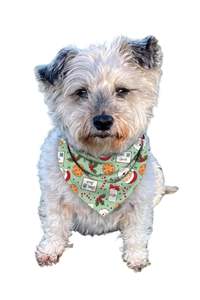Luxe Bamboo Dear Santa Dog Bandana