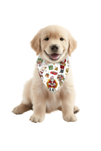 Christmas Pjs: Luxe Bamboo Traditional Santa Dog Bandana