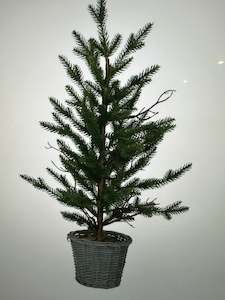 Tree Toppers 1: Small Faux Pine Christmas Tree in willow basket