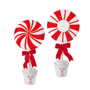 Raz Collection: Peppermint Christmas Topiary Trees sitting in White Pots - Large