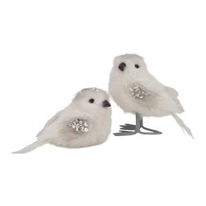 Woodlands Themed: Standing and Sitting Set of Birds