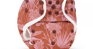 All in one (AIO) nappies: Fudgey Pants ORIGINALS 3-in-1 Cloth Nappies (AIO, AI2 snap-in, pocket)