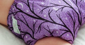 Products: Bear & Moo OSFM Pocket Nappy