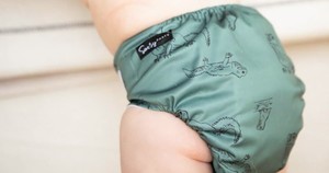 Sassy Pants OSFM Pocket/AI2 (Snap-In) Nappy with Velcro Closure