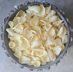 Rose Petals: Champagne White Rose Petals