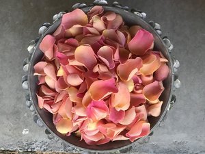 Rose Petals: Vintage Peach Rose Petals