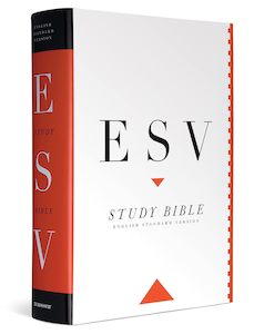 Bibles: ESV  Bible Study (H/B)