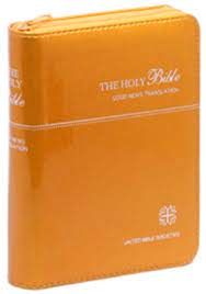 Gnb: GNB  Gold Zip (Small)