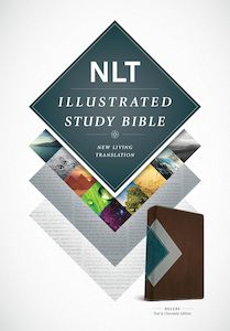 Nlt: NLT  Bible Illustrated Study -Teal/Chocolate (Deluxe Ed Im/lth)