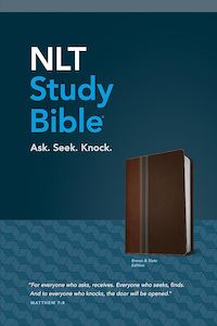 NLT  Study Bible Brown/Slate Tutone