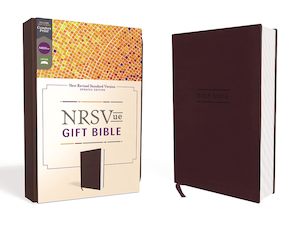 Nsrv: NRSVue Gift Bible Comfort Print [Burgundy]