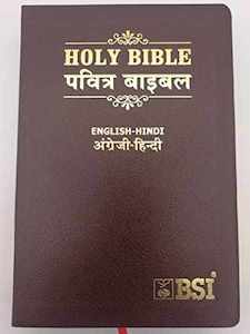 Hindi: ESV Hindi Bible  English/Hindi (Lthlook) Black / Burgundy