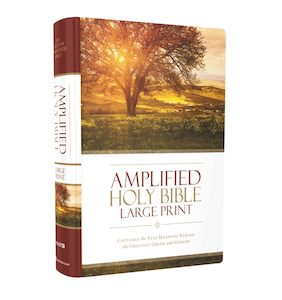 Amplified: Amplified Bible (H/B)