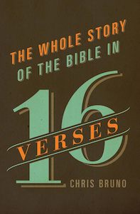 Theology: Whole Story Of The Bible In 16 Verses