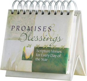 Daybrightner - Promises & Blessings