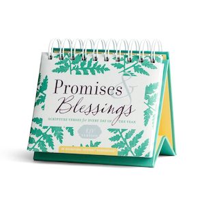 Daybrightners: Daybrightner - Promises Blessings