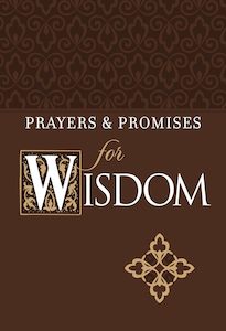 Prayer Sprituality: Prayers & Promises for Wisdom