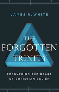 Forgotten Trinity: Recovering the Heart of Christian Belief
