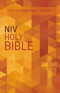 NIV, Value Outreach Bible, Paperback