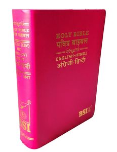 ESV  Hindi / English Bible Lth/Look Gilt Edge