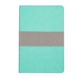 Csb: CSB Thinline Reference Bible, Mint/Gray LeatherTouch, Red Letter, Presentation P