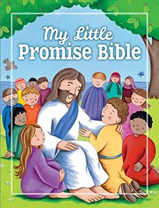 Childrens: My Little Promise Bible by David Juliet