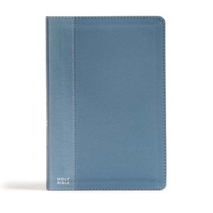 **CSB Essential Teen Study Bible