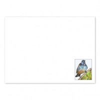 Products: Tui Envelopes (White)