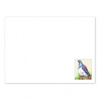 Products: Wood Pigeon Envelopes (White)