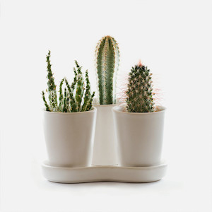 BIOPOND X PLUS SDS Cisbay Australia