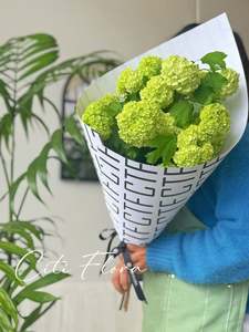 Browse: Lime Snowballs