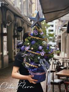 Christmas: Living Christmas Trees