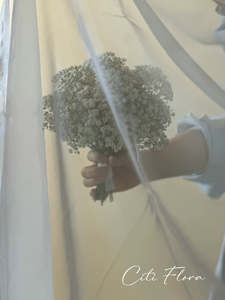 Wedding: Soft Whispers