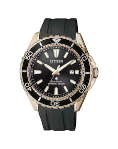 Rose Gold Watches: BN0193-17E