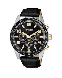 Two Tone Watches: AN8166-05E