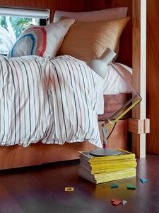 Anglepoise Type 75 Mini Desk Lamp Paul Smith