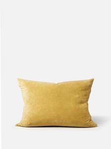 Cushion Archive: Velvet Cushion Cover