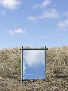 Mirrors: Lap Mirror