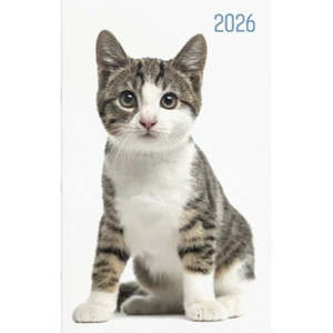 Office Stationary: Diary 2026 Collins A53 Cats and Dogs