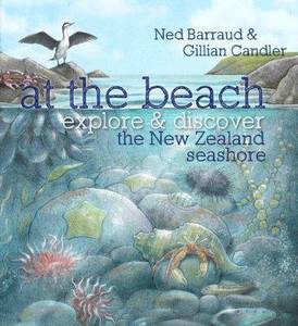 At the Beach Explore & Discover the New Zealand Sea Shore