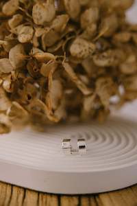 Jewellery: Solid Cuff Earrings - Silver