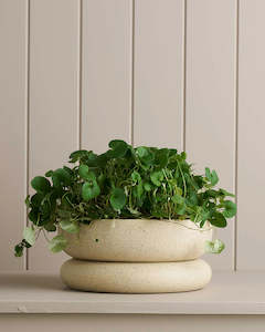 Robert Gordon: Cloud Planter | White Speckle | 25 x 11.5cm