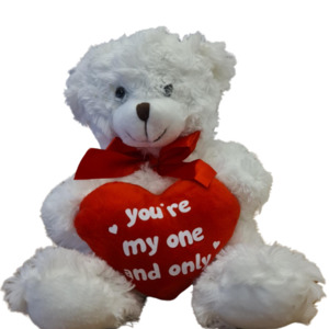 You're my One and Only Teddy Bear