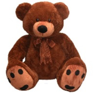 Valentines Day Christchurch: Roly Bear