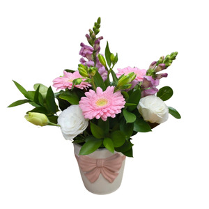 Mothers Day Flowers Giftbaskets Christchurch: Pretty Bow Pot