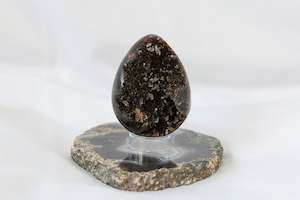 Polished: Septarian Egg