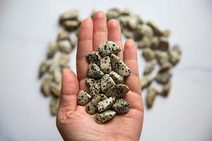 Strength Resilience: Dalmation Jasper Tumblestone