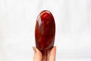 Carnelian Freeform #17